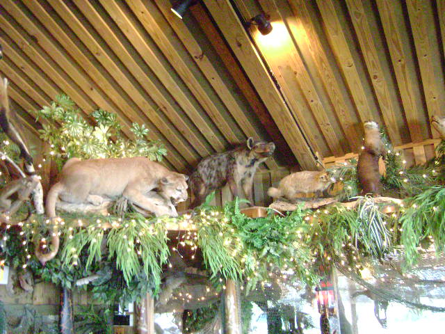 Clark's 4-20-08 016.jpg